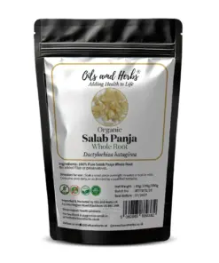 Wholesale Organic Salab Panja Whole Root – Premium Quality