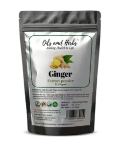 Wholesale High Strength Ginger Extract Powder – 5% Gingerol