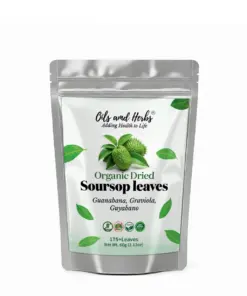 Wholesale Organic Soursop Dried Leaves and Tea bags (Graviola Leaves)