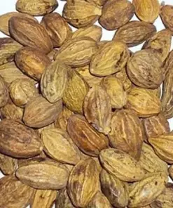 Wholesale Whole Myrobalan aka Terminalia chebula