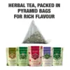 Wholesale Mullein Tea – Pure & Natural Herbal Infusion