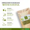 Wholesale Clean Stevia Powder - Stevia rebaudiana -100% Pure and Natural