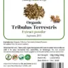 Wholesale Organic Tribulus Terrestris Extract Powder